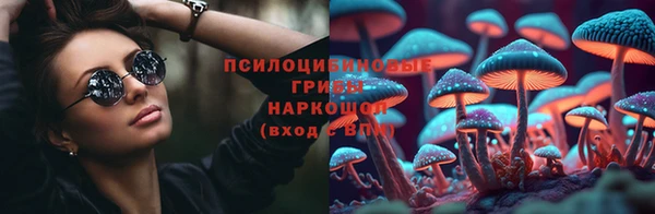 стафф Горнозаводск